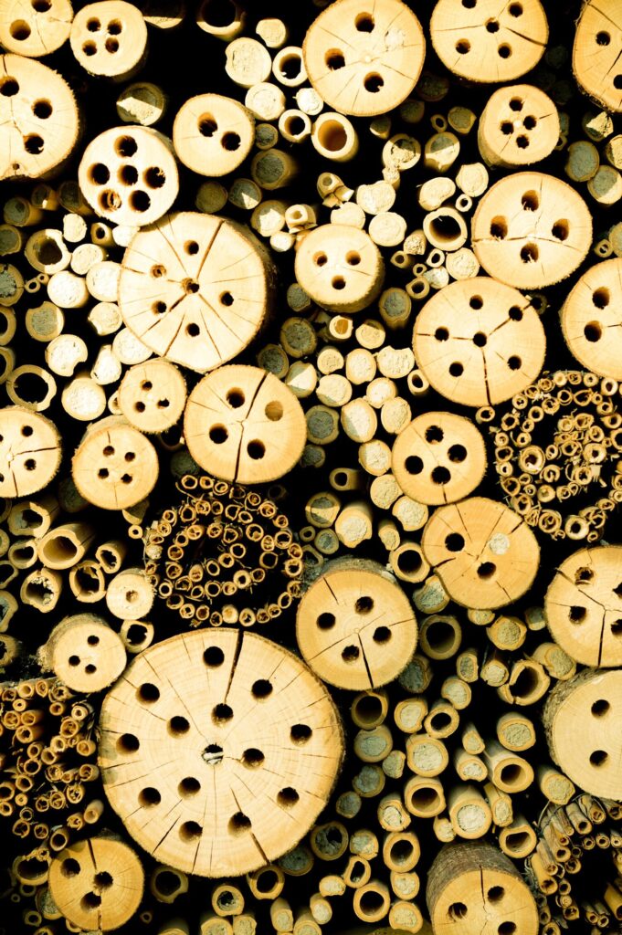 Bee accommodation