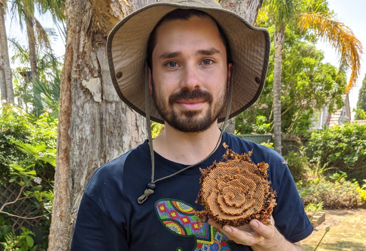 Dr. Francisco Garcia Bulle Bueno-Meliponist & Entomologist