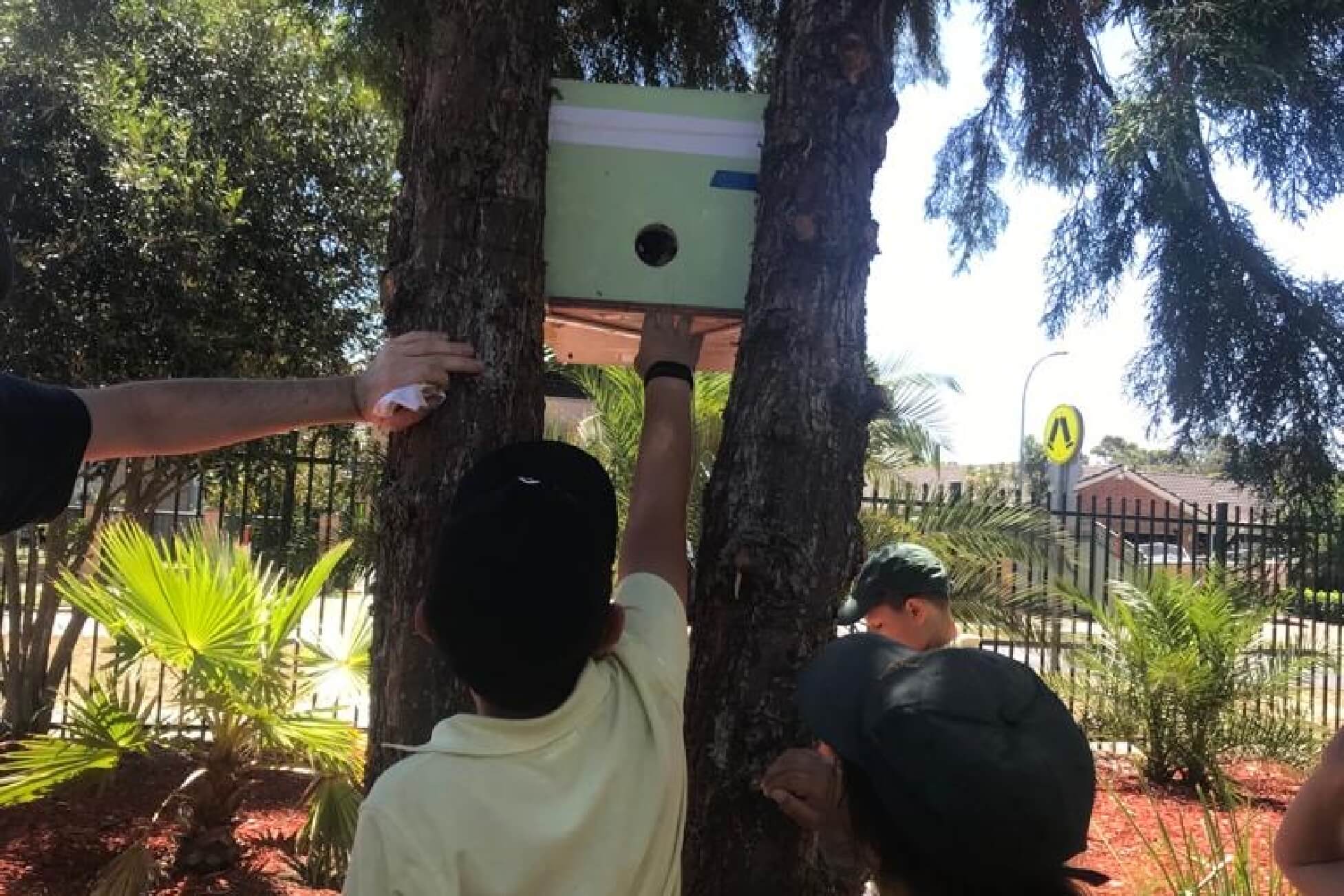 Bird box installation