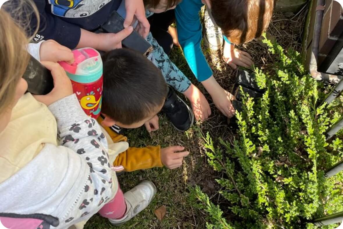 Kids involved in school garden