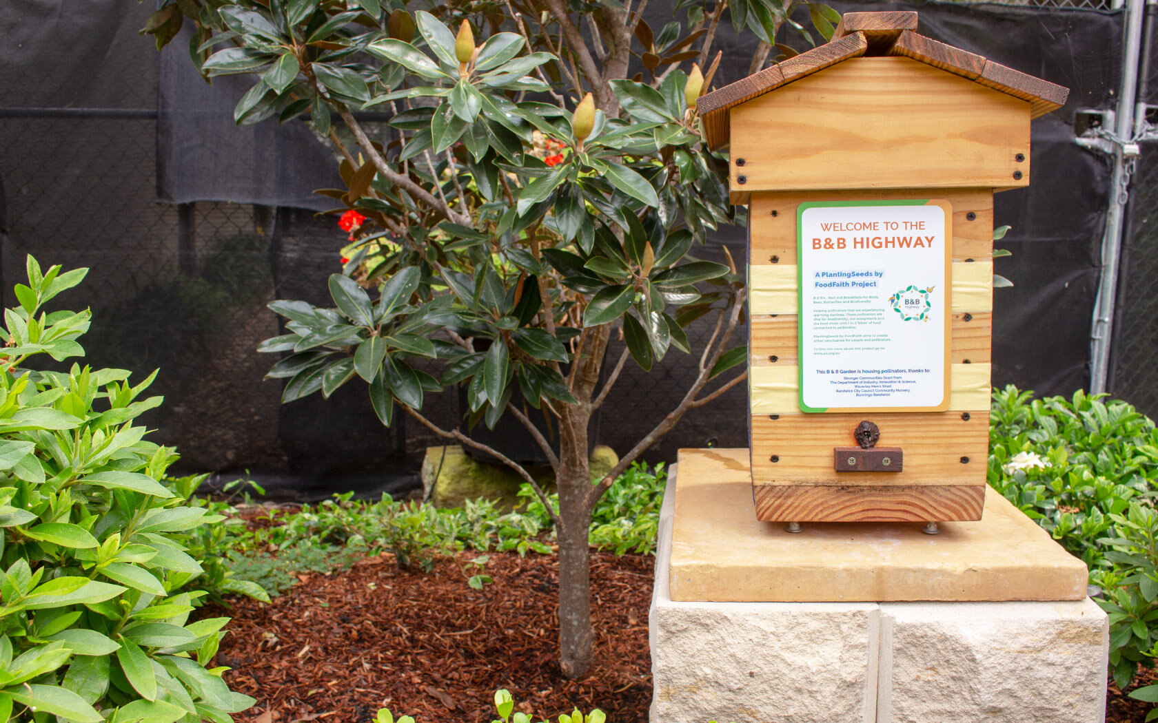 Bee hive