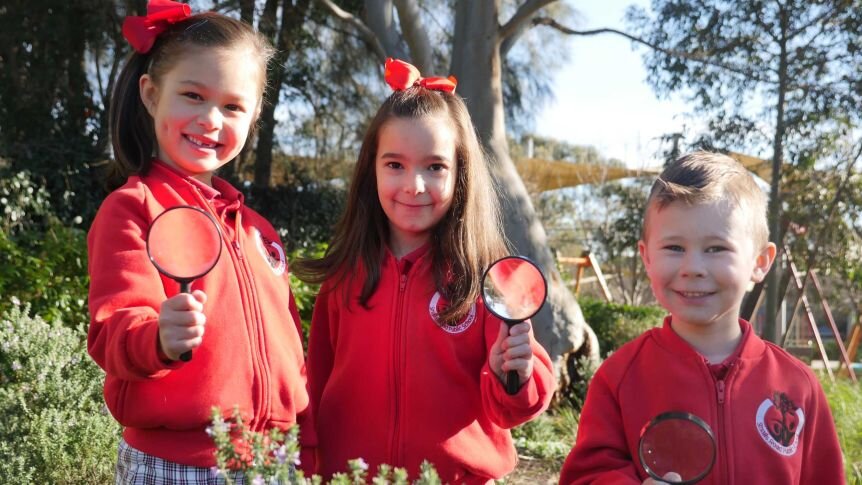 Young Citizen Science enthusiasts