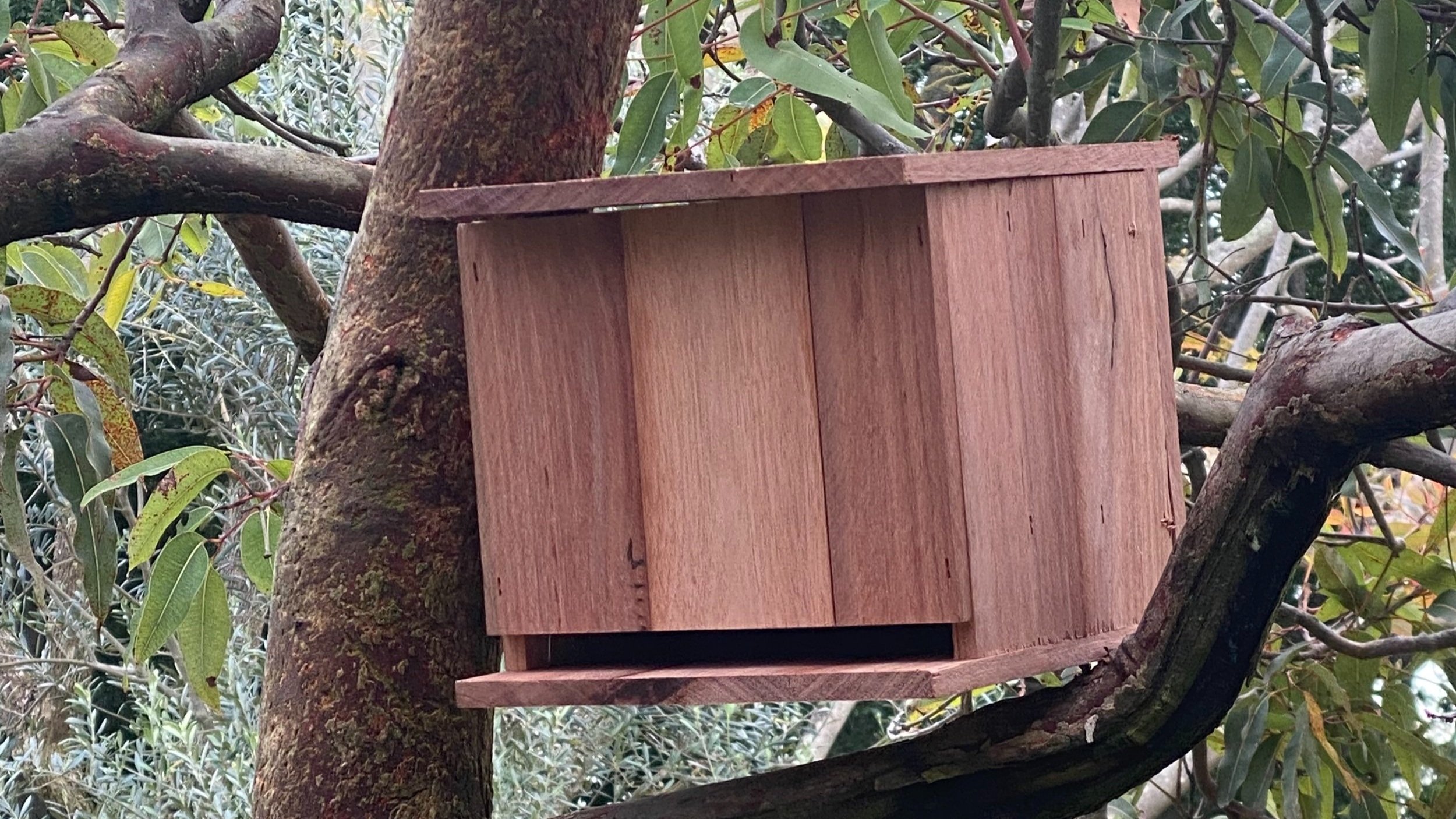 Bird nesting box