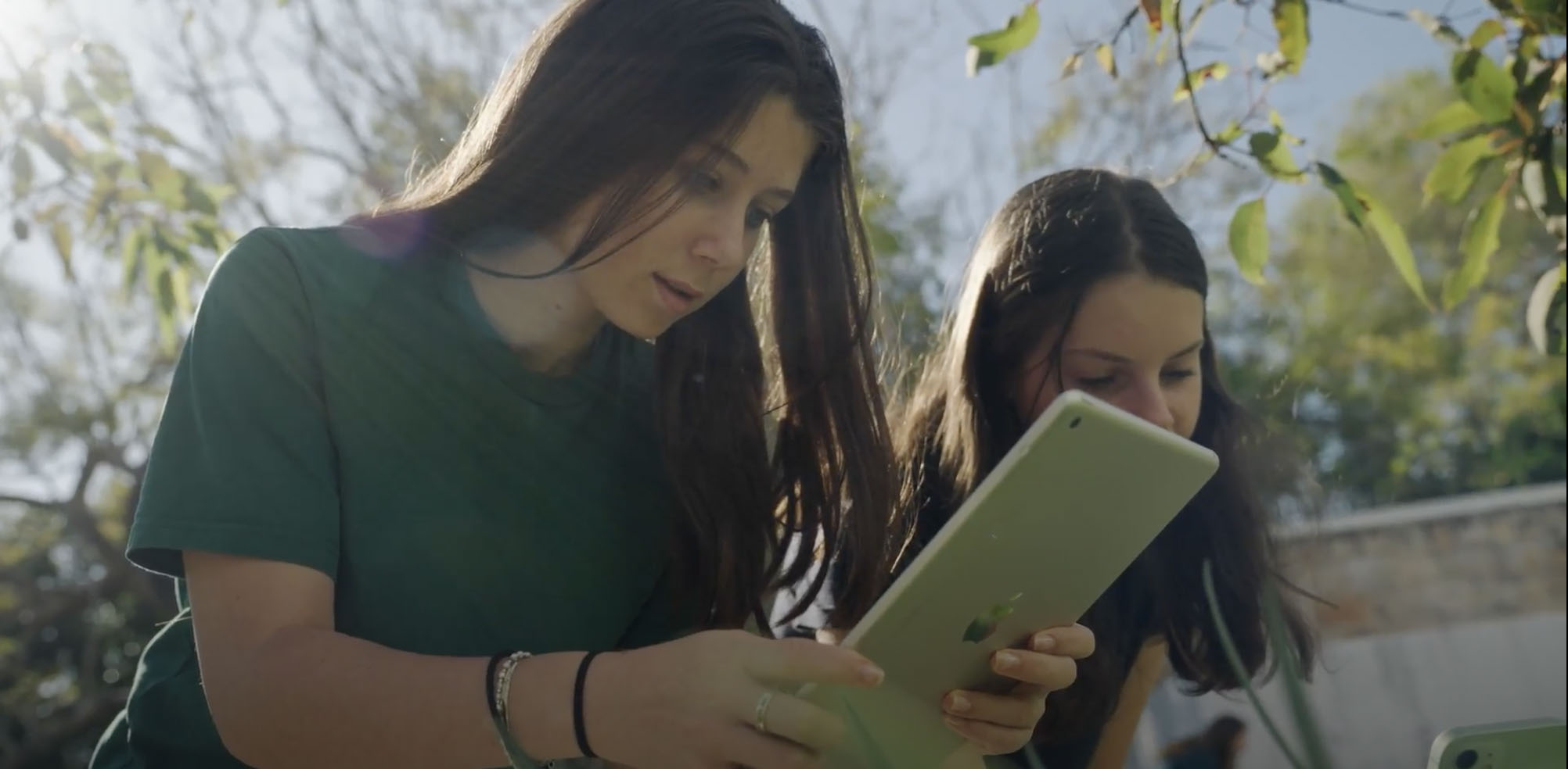 Students engaged in Bioblitz