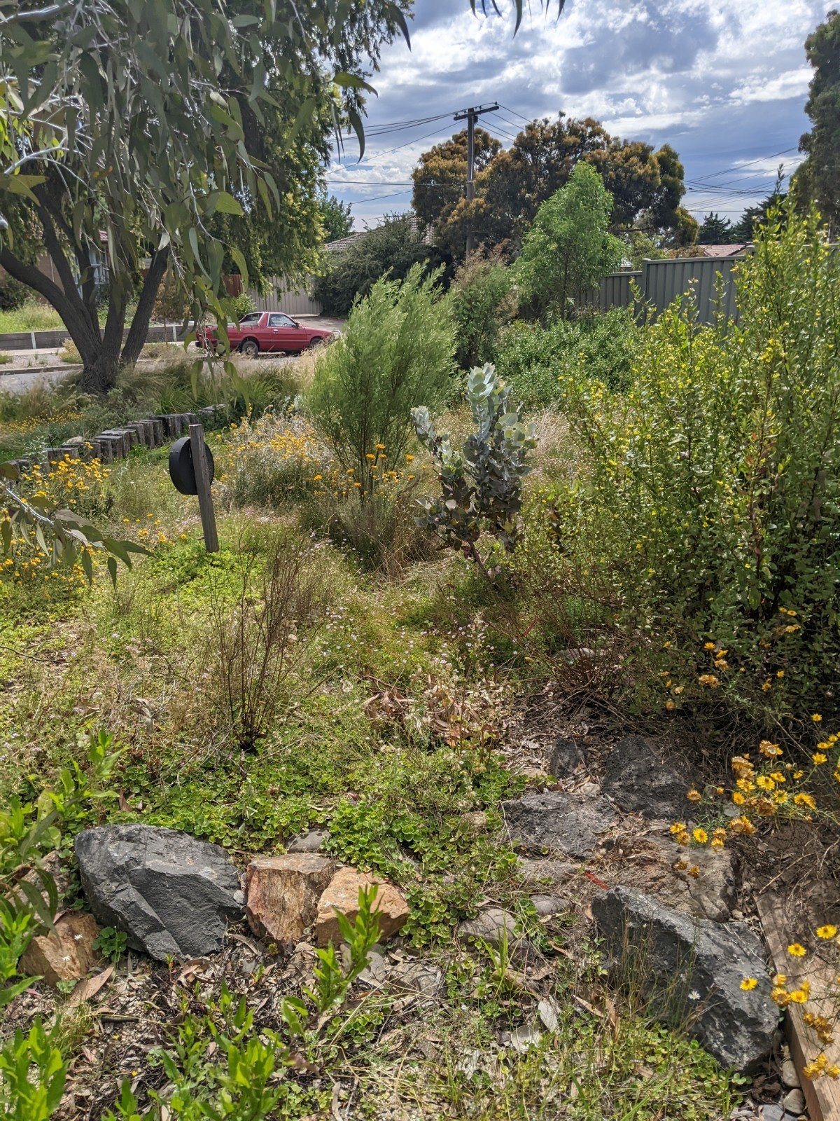 1: Joseph’s native Australian Garden, tucked away in suburban Melbourne