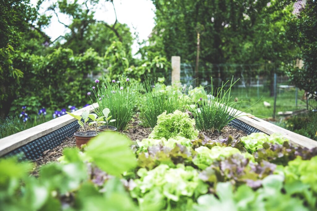 Natural home made garden bed