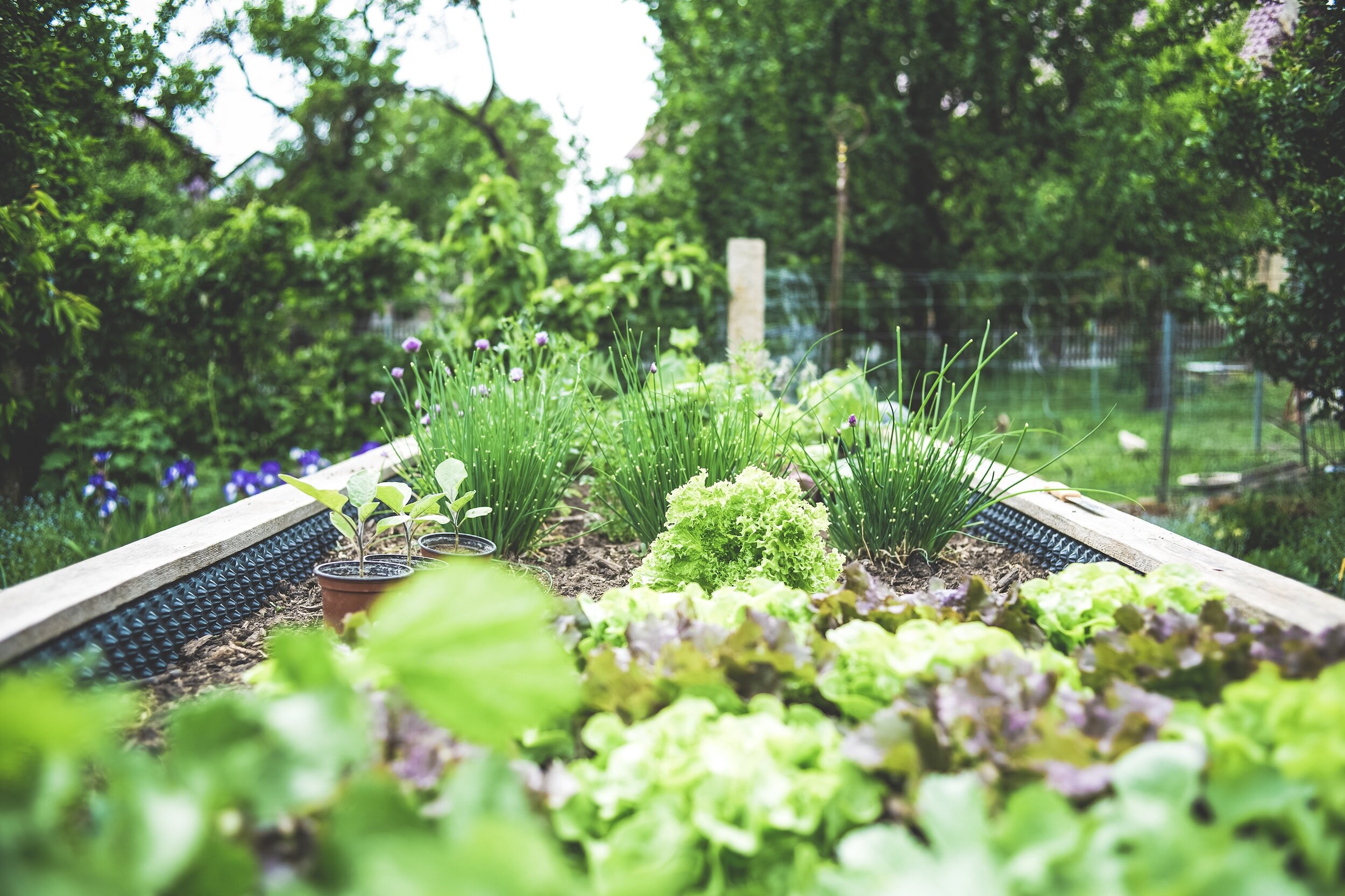 Natural home made garden bed