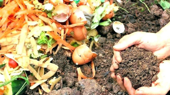 Compost