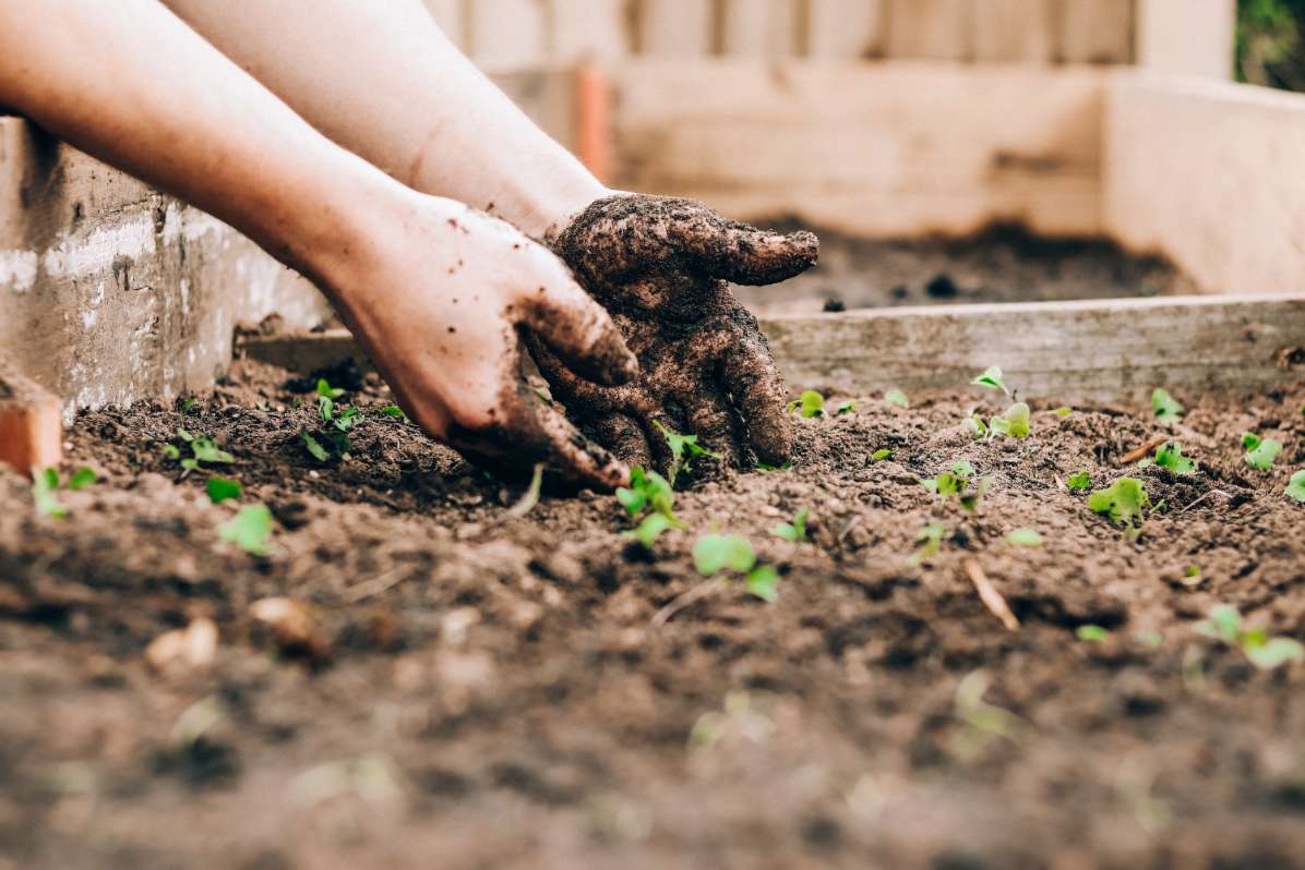 Getting hands dirty