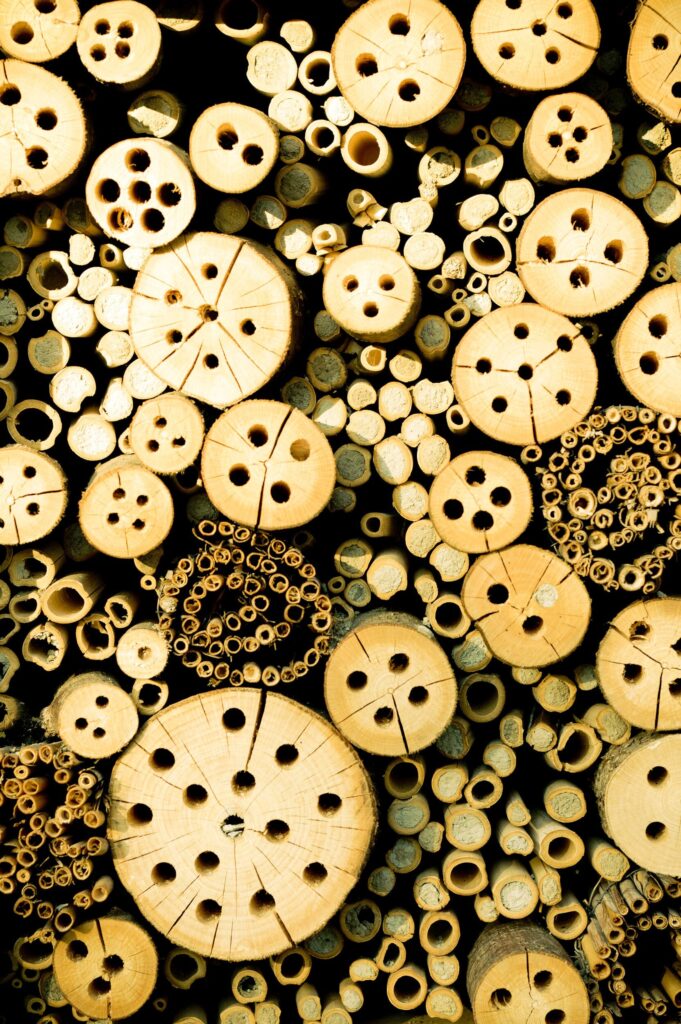Bee accommodation