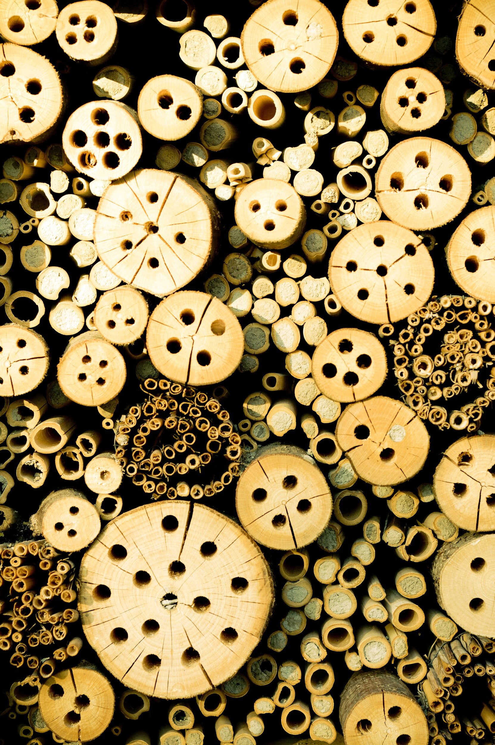 Bee accommodation