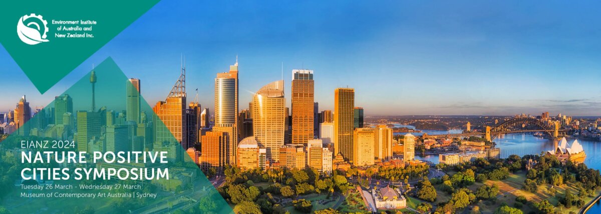 Sydney city view